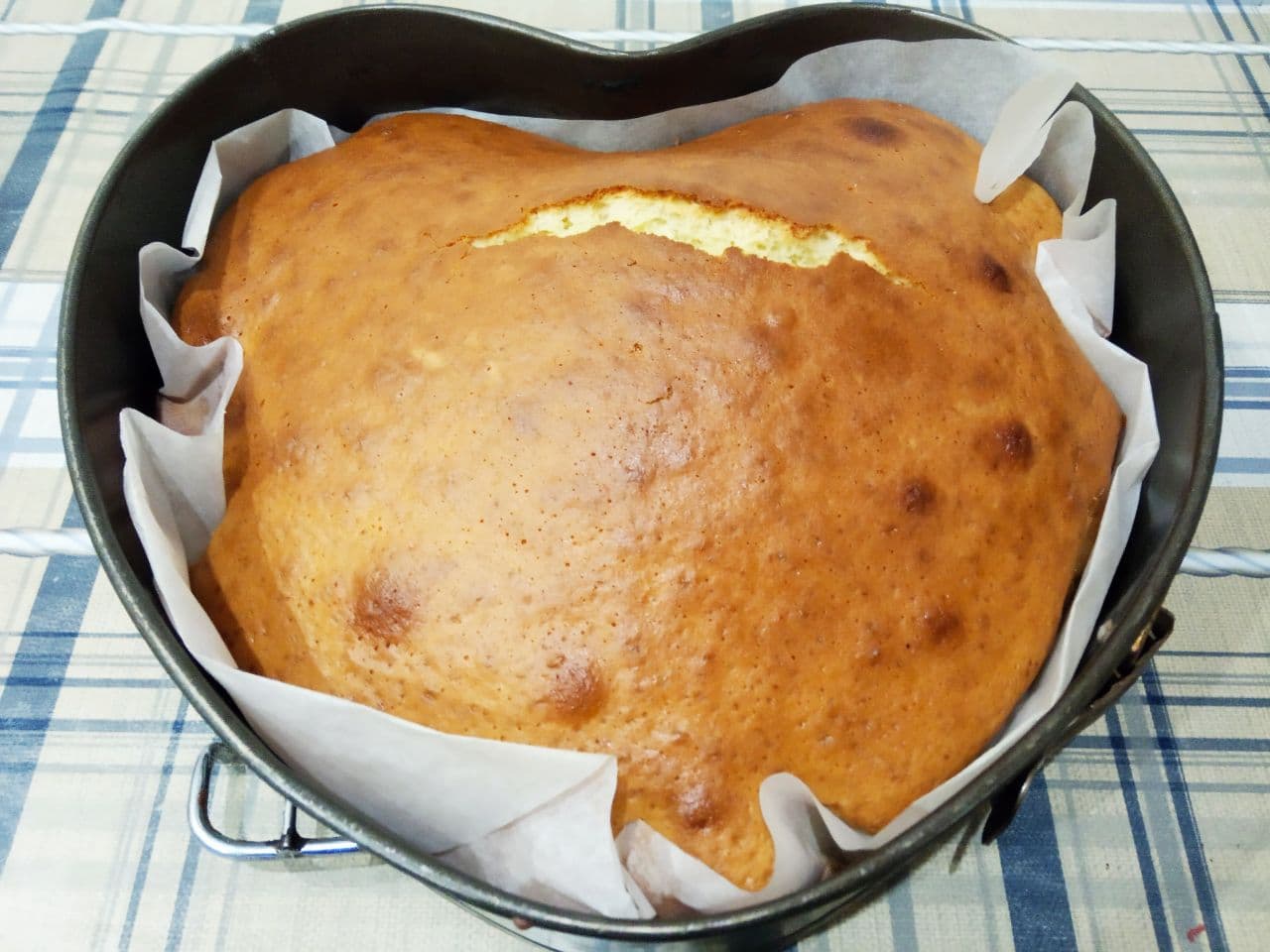 Molozniy Pirog14