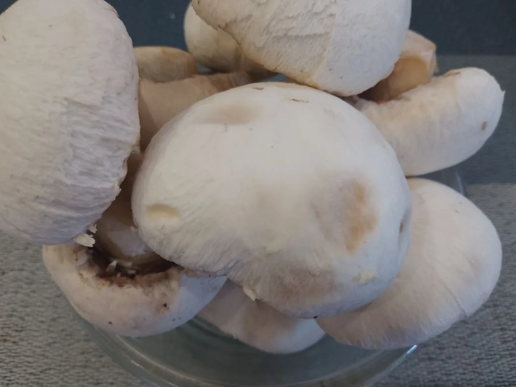 Kartochka S Nazhinkoy 4