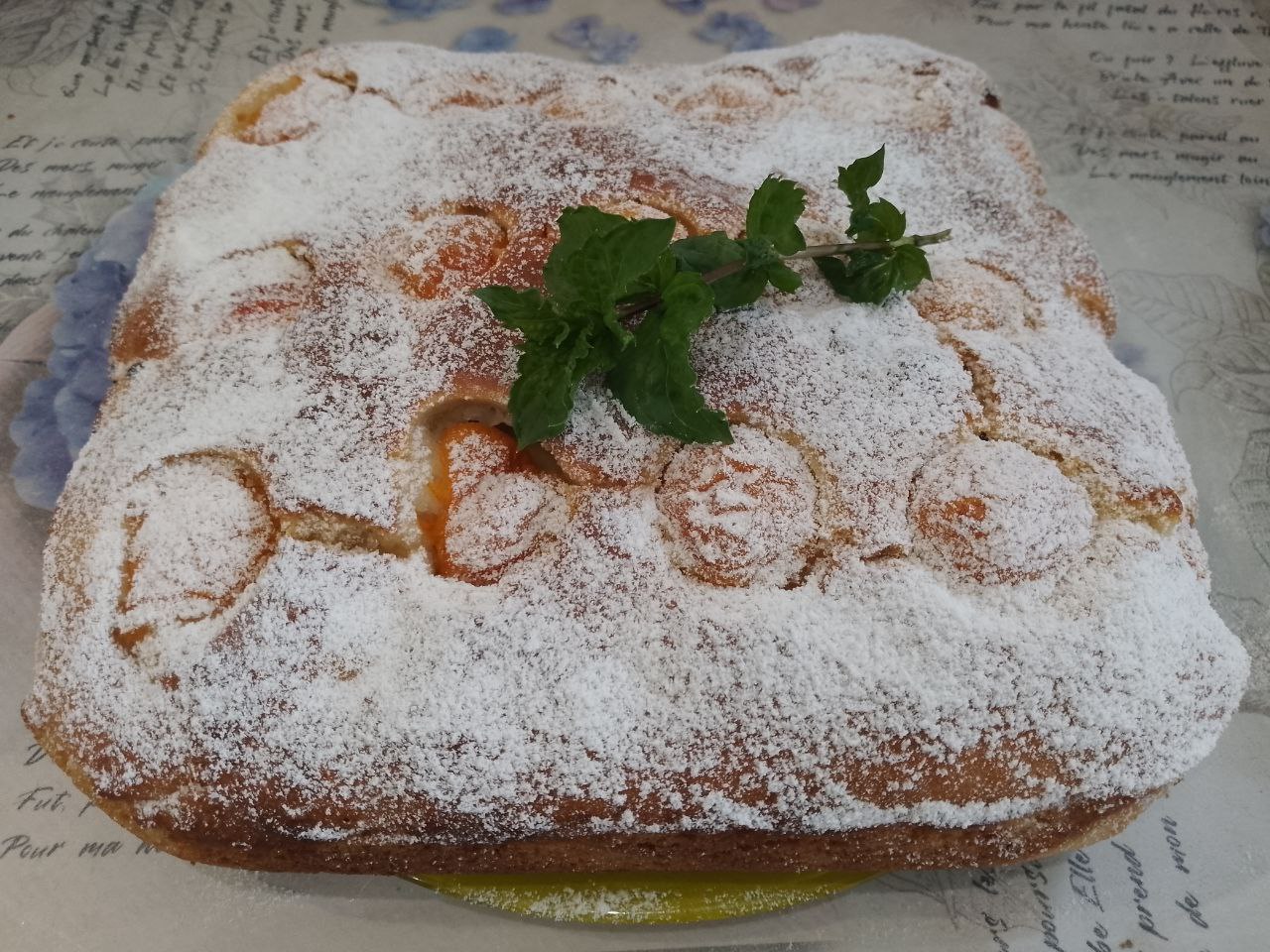 Pirog S Abrikosami 13