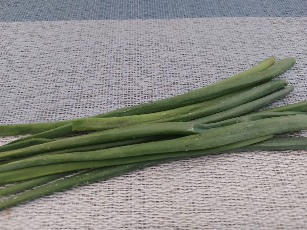 Zapekanka S Pure 17