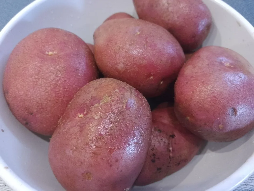 Kartochka S Nazhinkoy