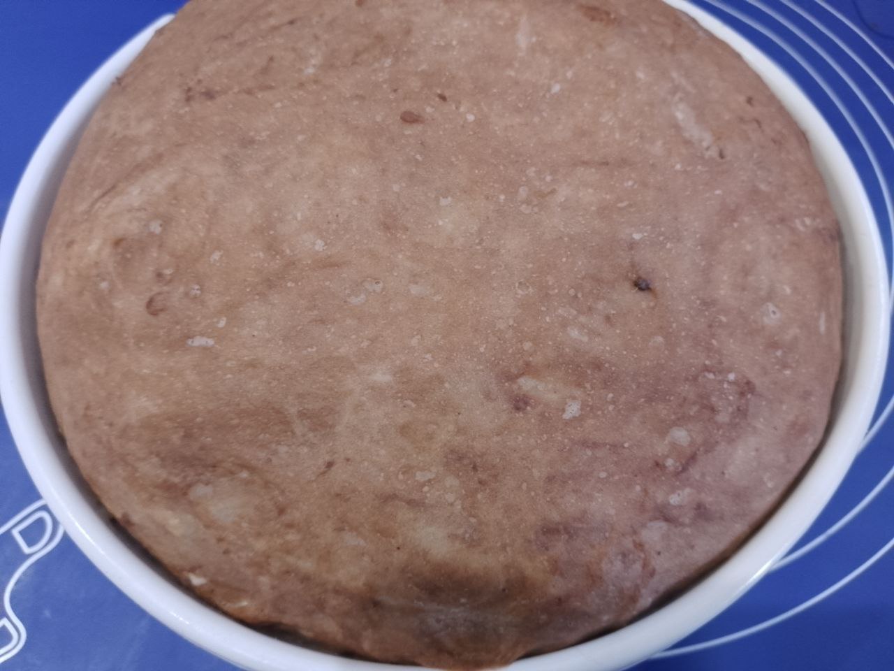 Bylozhki S Koricey 11