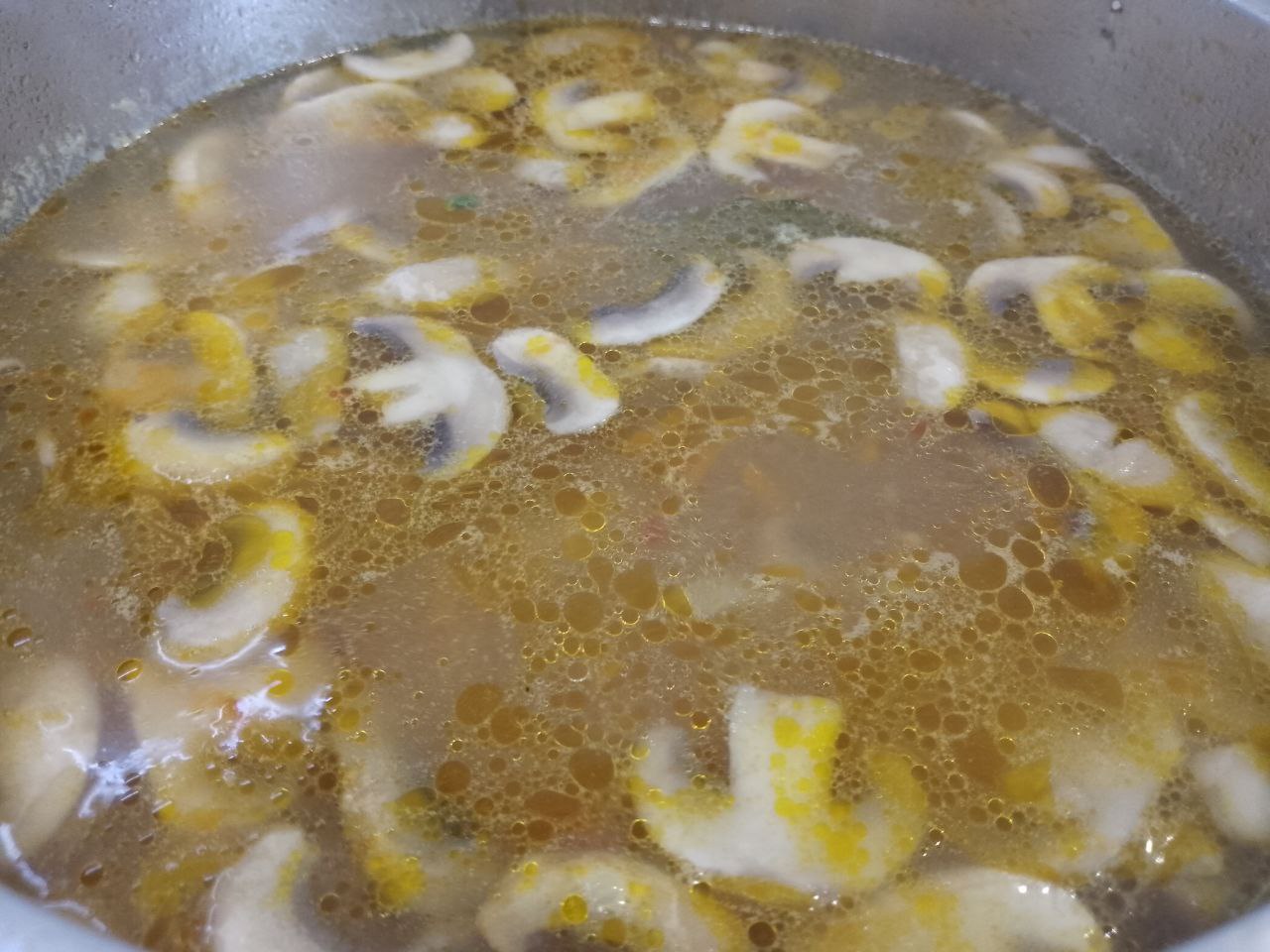 Syp S Gribami Risom 12