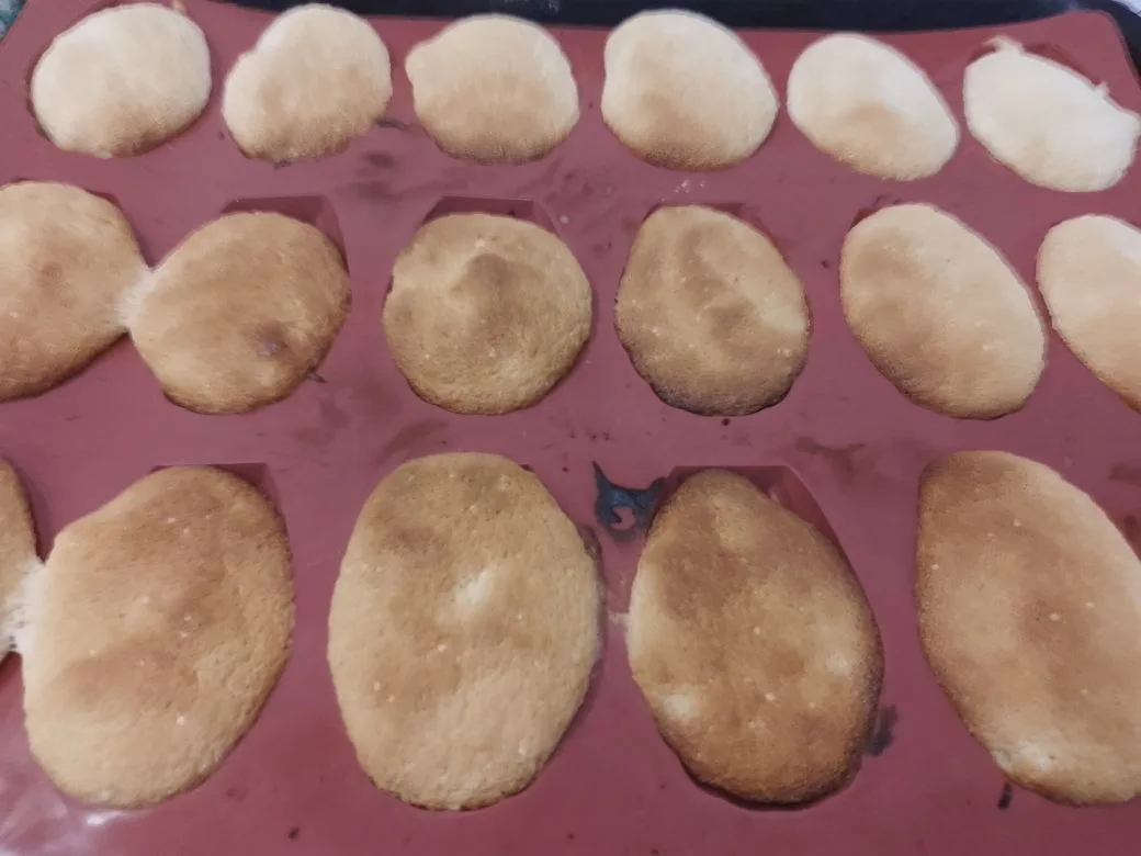 Pezhene Biskvitnoe 12