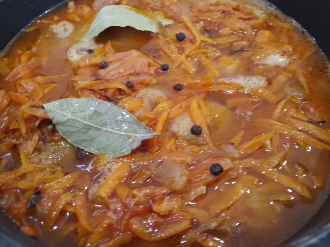Mintay V Tomate 14