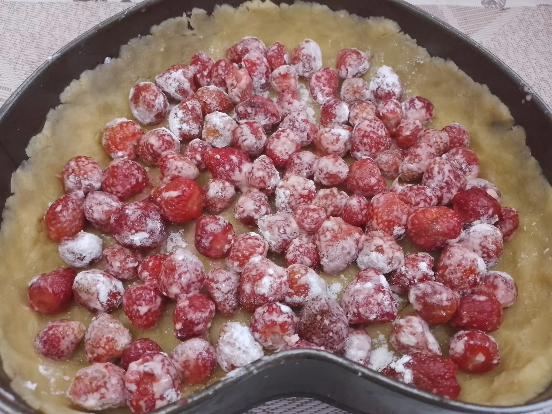 Pirog S Belkmi 8