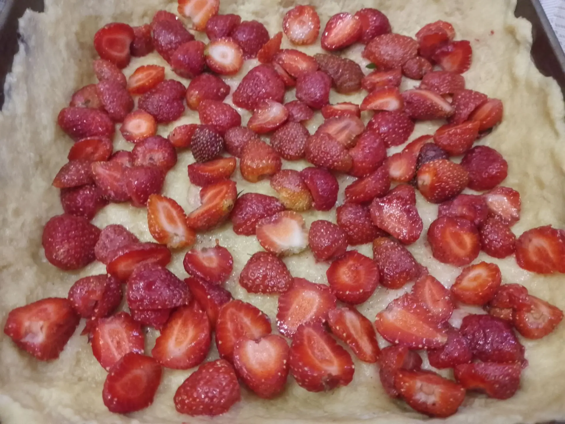 Pirog S Tvorogom 17