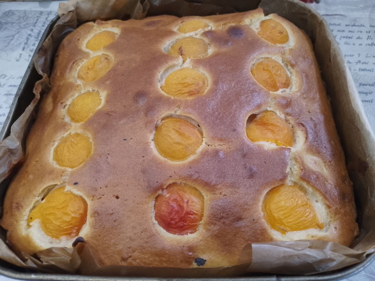 Pirog S Abrikosami 12