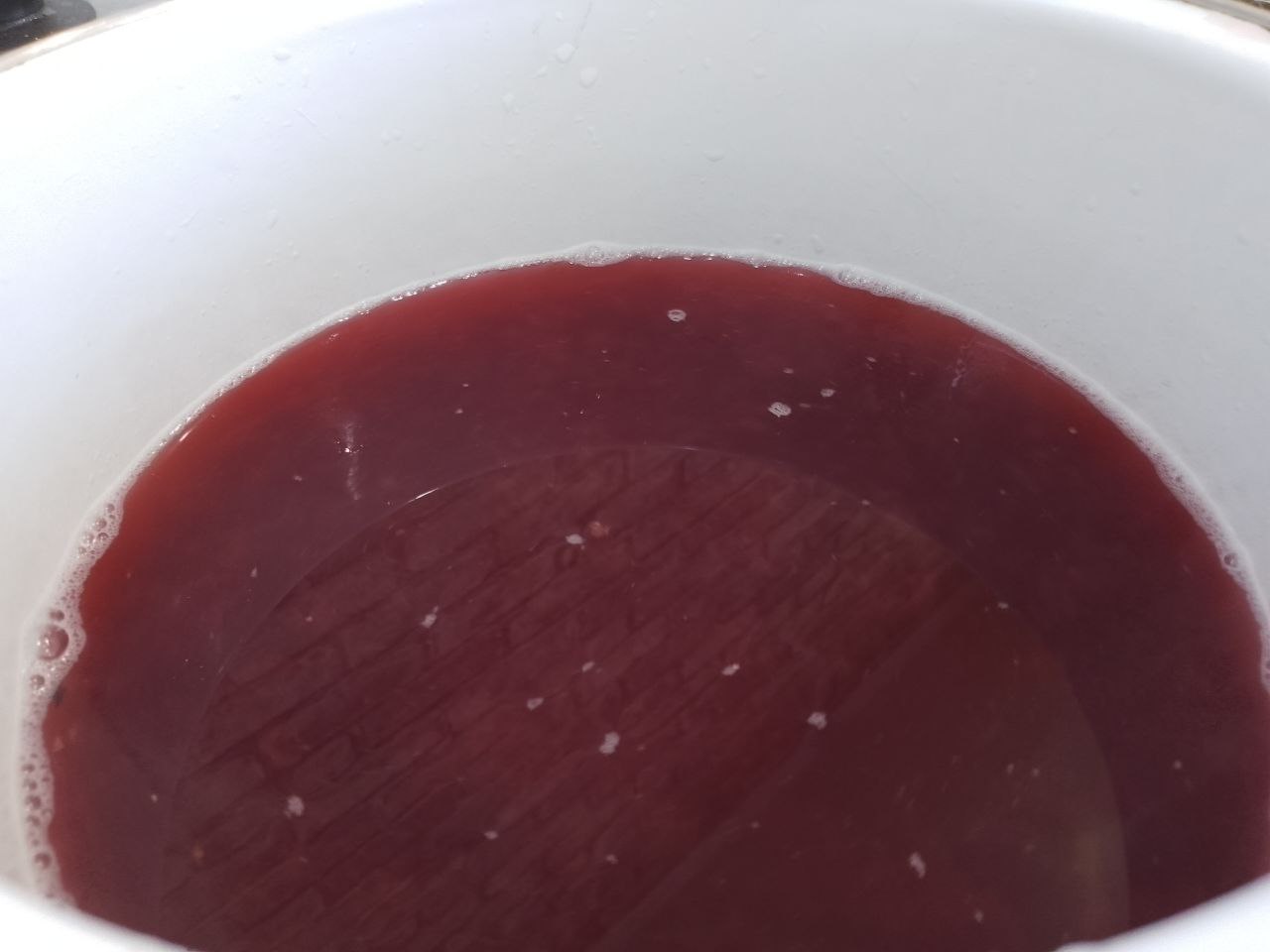 Mors Iz Reveny Smorodina 10