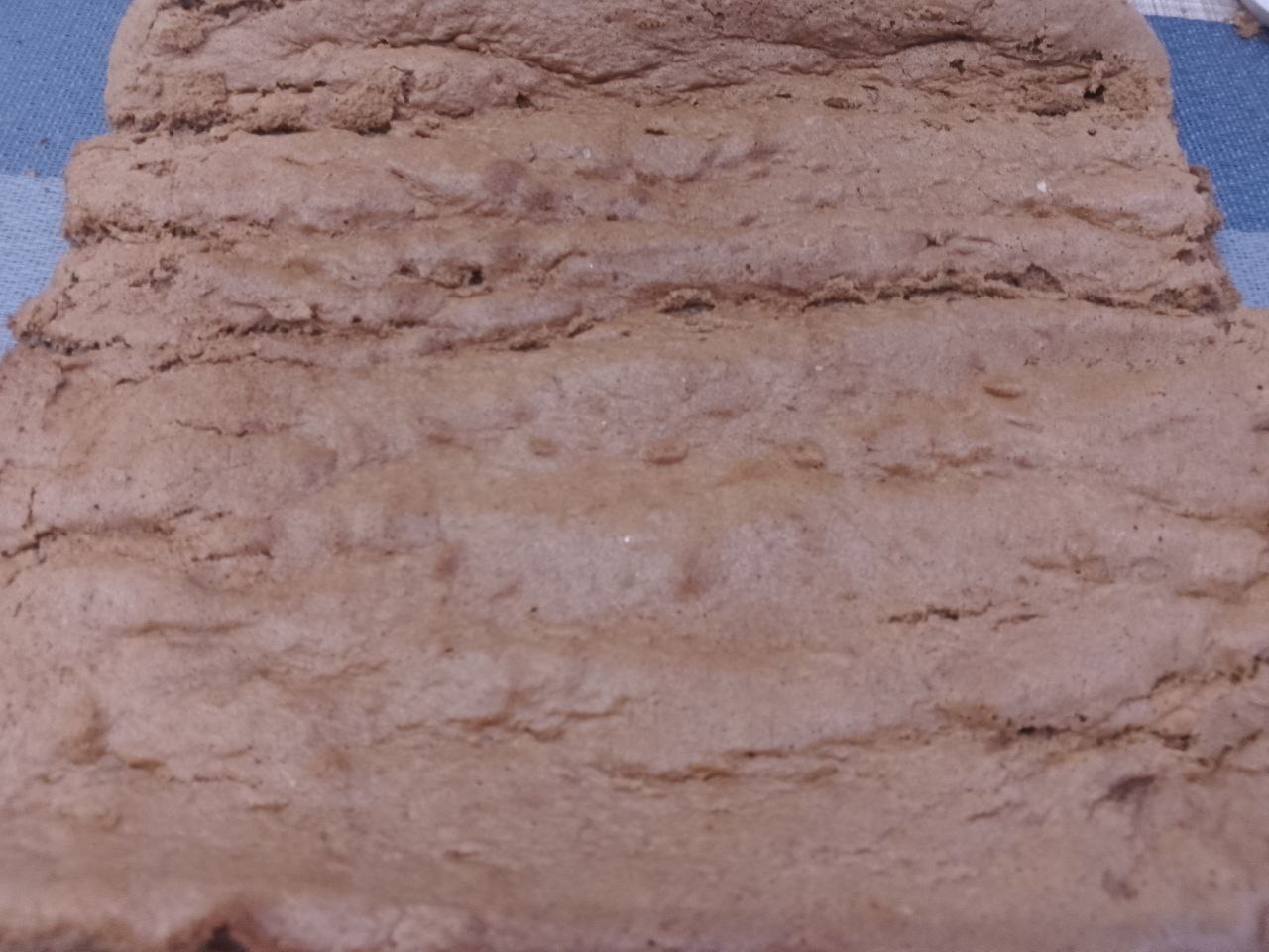 Rylet S Klybnikoy 16