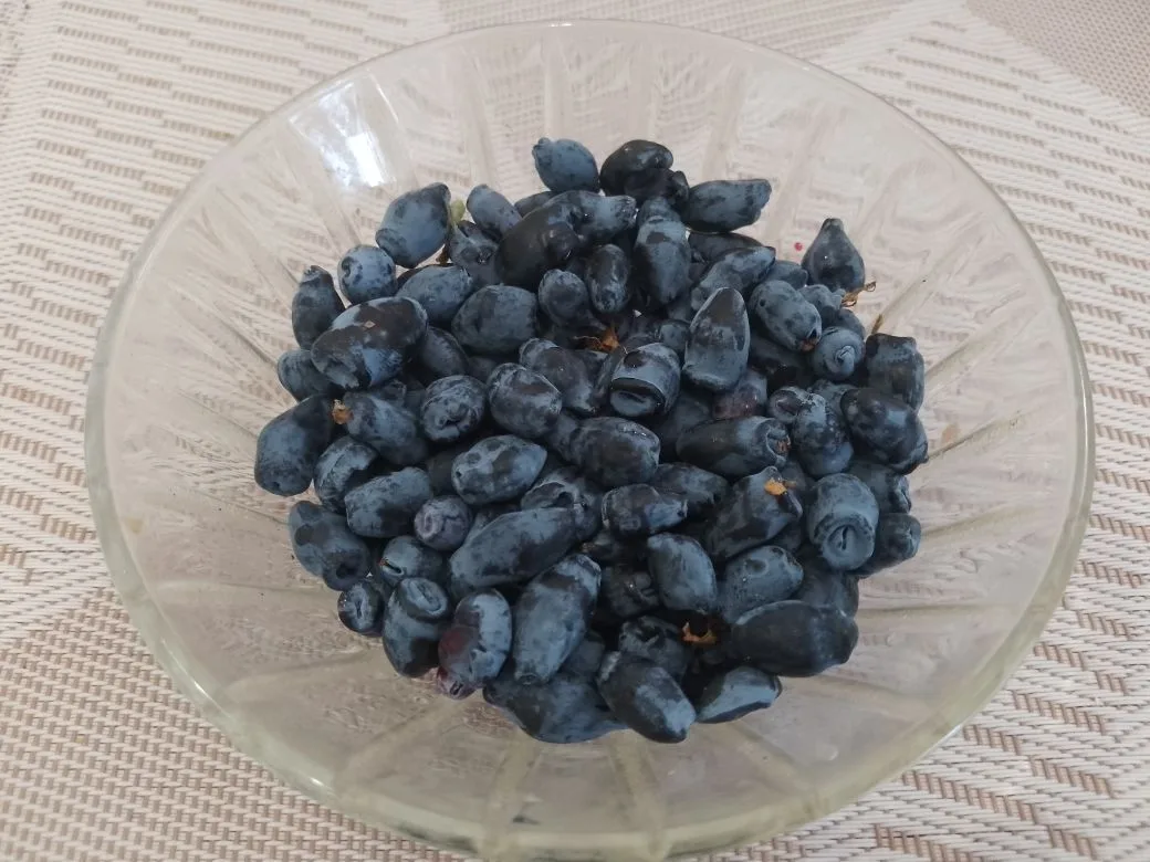 Jele S Klybnikoy 2